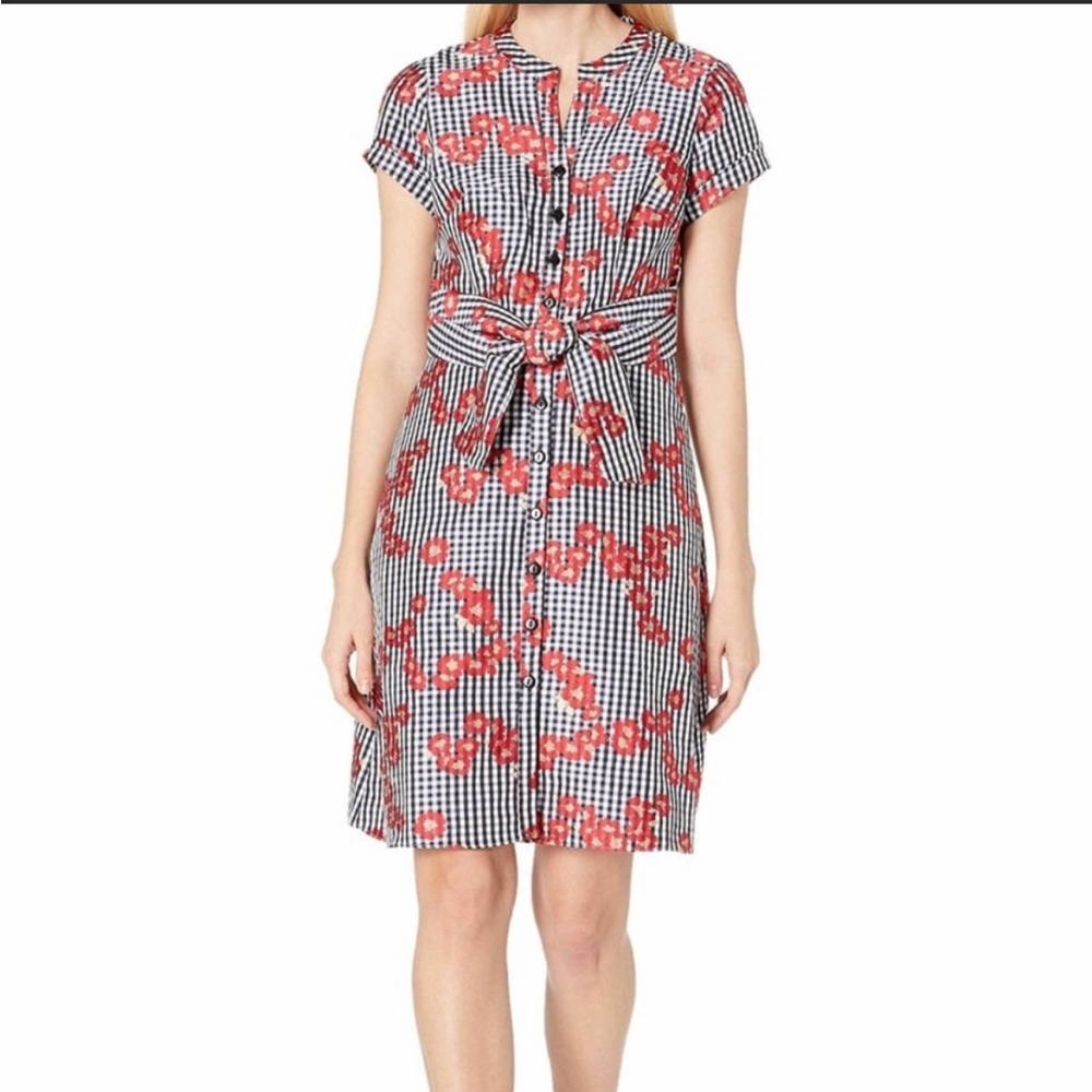 Adrianna Papell dress